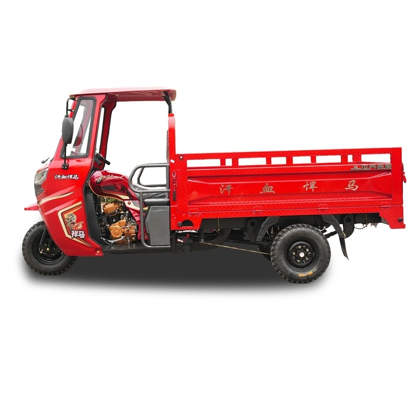 250cc Trike for adult